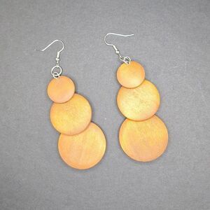 Brown wood circle drop Earrings